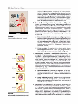 Farmacologia ilustrada 5° ediçao.pdf