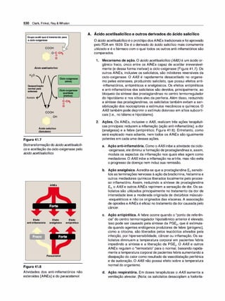 Farmacologia ilustrada 5° ediçao.pdf
