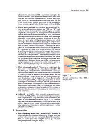 Farmacologia ilustrada 5° ediçao.pdf