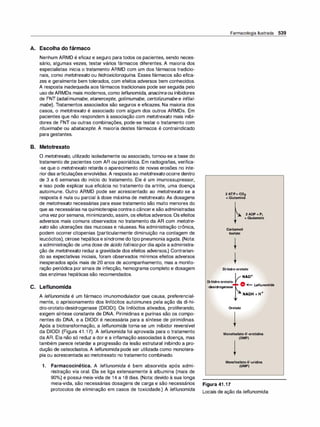 Farmacologia ilustrada 5° ediçao.pdf
