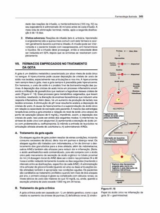 Farmacologia ilustrada 5° ediçao.pdf