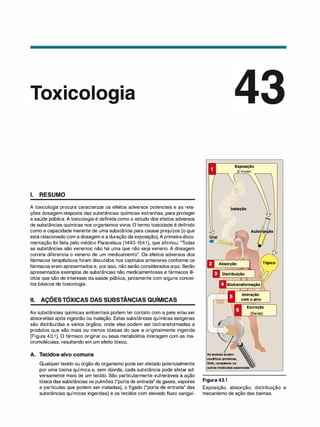 Farmacologia ilustrada 5° ediçao.pdf