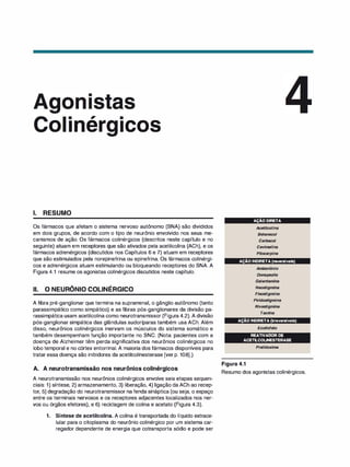 . , •
o 1 ner ICOS
1. RESUMO
Os fármacos que afetam o sistema nervoso autônomo (SNA) são divididos
em dois grupos, de acordo com o tipo de neurônio envolvido nos seus me­
canismos de ação. Os fármacos colinérgicos (descritos neste capítulo e no
seguinte) atuam em receptores que são ativados pela acetilcolina (ACh), e os
fármacos adrenérgicos (discutidos nos Capítulos 6 e 7) atuam em receptores
que são estimulados pela norepinefrina ou epinefrina. Os fármacos colinérgi­
cos e adrenérgicos atuam estimulando ou bloqueando receptores do SNA. A
Figura 4.1 resume os agonistas colinérgicos discutidos neste capítulo.
li. O NEURÔNIO COLINÉRGICO
A fibra pré-ganglionar que termina na suprarrenal, o gânglio autônomo (tanto
parassimpático como simpático) e as fibras pós-ganglionares da divisão pa­
rassimpática usam acetilcolina como neurotransmissor (Figura 4.2). A divisão
pós-ganglionar simpática das glândulas sudoríparas também usa ACh. Além
disso, neurônios colinérgicos inervam os músculos do sistema somático e
também desempenham função importante no SNC. (Nota: pacientes com a
doença de Alzheimer têm perda significativa dos neurônios colinérgicos no
lobo temporal e no córtex entorrinal. A maioria dos fármacos disponíveis para
tratar essa doença são inibidores da acetilcolinesterase [ver p. 108].)
A. A neurotransmissão nos neurônios colinérgicos
A neurotransmissão nos neurônios colinérgicos envolve seis etapas sequen­
ciais: 1) síntese, 2) armazenamento, 3) liberação, 4) ligação da ACh ao recep­
tor, 5) degradação do neurotransmissor na fenda sináptica (ou seja, o espaço
entre os terminais nervosos e os receptores adjacentes localizados nos ner­
vos ou órgãos efetores), e 6) reciclagem de colina e acetato (Figura 4.3).
1. Síntese de acetilcolina. A colina é transportada do líquido extrace­
lular para o citoplasma do neurônio colinérgico por um sistema car­
regador dependente de energia que cotransporta sódio e pode ser
AÇÃO DIRETA
Acetilcolina
Betanecol
Carbacol
Cev
imelina
Pilocarpina
AÇÃO INDIRETA (reversíveis)
Ambenônio
Donepezila
Galantamina
Neostigmina
Fisostigmina
Piridostigmina
Rivastigmina
Tacri
na
AÇÃO INDIRETA (irreversíveis)
Ecotiofato
REATIVADOR DE
ACETILCOLINESTERASE
Pralidoxima
Figura 4.1
Resumo dos agonistas colinérgicos.
 