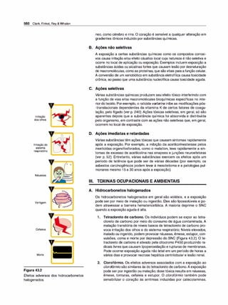 Farmacologia ilustrada 5° ediçao.pdf