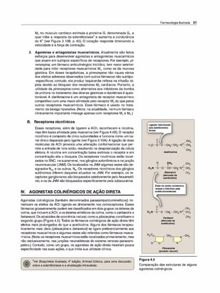 M2 no músculo cardíaco estimula a proteína G, denominada Gi, a
qual inibe a resposta da adenililciclase
2
e aumenta a condutância
do K+ (ver Figura 3.108, p. 45). O coração responde diminuindo a
velocidade e a força de contração.
3. Agonistas e antagonistas muscarínicos. Atualmente são feitos
esforços para desenvolver agonistas e antagonistas muscarínicos
que atuem em subtipos específicos de receptores. Por exemplo, pi­
renzepina, um fármaco anticolinérgico tricíclico, tem maior seletivi­
dade para inibir receptores muscarínicos M,, como os da mucosa
gástrica. Em doses terapêuticas, a pirenzepina não causa vários
dos efeitos adversos observados com outros fármacos não subtipo­
-específicos; contudo, ela produz taquicardia reflexa na infusão rá­
pida devido ao bloqueio dos receptores M2 cardíacos. Portanto, a
utilidade da pirenzepina como alternativa aos inibidores da bomba
de prótons no tratamento das úlceras gástricas e duodenais é ques­
tionável. A darifenacina é um antagonista de receptor muscarínico
competitivo com uma maior afinidade pelo receptor M3 do que pelos
outros receptores muscarínicos. Esse fármaco é usado no trata­
mento da bexiga hiperativa. (Nota: na atualidade, nenhum fármaco
clinicamente importante interage apenas com receptores M4 e M5.)
B. Receptores nicotínicos
Esses receptores, além de ligarem a ACh, reconhecem a nicotina,
mas têm baixa afinidade pela muscarina (ver Figura 4.48). O receptor
nicotínico é composto de cinco subunidades e funciona como um ca­
nal iônico disparado pelo ligante (ver Figura 3.1OA). A ligação de duas
moléculas de ACh provoca uma alteração conformacional que per­
mite a entrada de íons sódio, resultando na despolarização da célula
efetora. A nicotina em concentração baixa estimula o receptor e em
concentração alta o bloqueia. Os receptores nicotínicos estão locali­
zados no SNC, nasuprarrenal, nos gânglios autonômicos e najunção
neuromuscular (JNM). Os localizados na JNM algumas vezes são de­
signados NM, e os outros, NN. Os receptores nicotínicos dos gânglios
autônomos diferem daqueles situados na JNM. Por exemplo, os re­
ceptores ganglionares são bloqueados seletivamente pelo hexametô­
nio, e os da JNM são bloqueados especificamente pela tubocurarina.
IV. AGONISTAS COLINÉRGICOS DE AÇÃO DIRETA
Agonistas colinérgicos (também denominados parassimpaticomiméticos) mi­
metizam os efeitos da ACh ligando-se diretamente nos colinoceptores. Esses
fármacos grosseiramente podem serclassificados em doisgrupos: os ésteres da
colina, que incluem aACh, eosésteressintéticos da colina, como o carbacole o
betanecol. Osalcaloidesdeocorrência natural, comoapilocarpina, constituem o
segundo grupo (Figura 4.5).Todos os fármacos colinérgicos de ação direta têm
efeitos mais prolongados do que a acetilcolina. Alguns dos fármacos terapeu­
ticamente mais úteis (pilocarpina e betanecol) se ligam preferencialmente aos
receptores muscarínicos e algumas vezes são referidos como fármacos musca­
rínicos. (Nota:os receptores muscarínicosestão localizados primariamente, mas
não exclusivamente, nas junções neuroefetoras do sistema nervoso parassim­
pático.) Contudo, como um grupo, os agonistas de ação direta mostram pouca
especificidade nas suas ações, o que limita sua utilidade clínica.
2Ver Bioquímica /lustrada, 4ª edição, Artmed Editora, para uma discussão
sobre a adenililciclase e a sinalização intracelular.
Farmacologia Ilustrada 51
Ligaçãohidrolisada
pelaacetilcolines­
terase.
Acetilcolina
O CH CH
li 1 3 / 3
H N -e-o - CH-Cl-l-
-N+-cH
2 "
2 " 3
Betanecol CH3
(derivadoda
acetilcolina)
Ésterdoácidocarbãmico;
resisteà hidrólisepela
acetilcolinesterase.
o
li / CH3
H2 N -e-o -e�- CH2N+-CH3
"
.::;.
o o
Carbacol CH3
(derivadoda
acetilcolina)
Pilocarpina
(produtonatural)
Figura 4.5
Comparação das estruturas de alguns
agonistas colinérgicos.
 