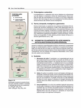 56 Clark, Finkel, Rey &Whalen
FOSFORILAÇÃO
DA ENZIMA
e Enzimainativada
• Pralidoxima(PAM)pode
removeroinibidor
o
li
C!i5-0-P-O-C2H5
1
S-R
Ecotiofato
/0-H
Localativoda
acetilcolinesterase
RSH+-'1
Acetilcolinesterase
(inativa)
Envelhecimento
(perdadogrupa-
O
mentoalquila)
li
C!i5-0-P-OH
/
/o
Acetilcolinesterase
(irreversivelmenteinativa)
Figura 4.10
/
O·H
Acetilcolinesterase
(ativa)
Modificação covalente da acetilcolineste­
rase pelo ecotiofato; também é mostrada
a reativação da enzima com pra/idoxima.
+
R = (CH3)3N -CH2-CH2-
+
RSH = (CH3)3N -CH2-CH2-S-H
D. Piridostigmina e ambenônio
A piridostigmina e o ambenônio são outros inibidores de colinesterase
que são usados no tratamento crônico da miastenia grave. Suas dura­
ções de ação são intermediárias (3 a 6 horas e 4 a 8 horas, respectiva­
mente), mas mais longas do que a da neostigmina. Os efeitos adversos
desses fármacos são similares aos da neostigmina.
E. Tacrina, donepezila, rivastigmina e galantamina
Como já mencionado, os pacientes com a doença de Alzheimer têm de­
ficiência de neurônios colinérgicos no SNC. Essa observação levou ao
desenvolvimento de anticolinesterásicos como possíveis fármacos para
a perda da função cognitiva. A tacrina foi o primeiro disponível, mas foi
substituída poroutros devido à sua hepatotoxicidade. Apesar de donepe­
zila, rivastigmina e galantamina retardarem o avanço da doença, nenhum
evitou sua progressão. O efeito adverso primário desses fármacos é o
distúrbio gastrintestinal (ver p. 108).
VI. AGONISTAS COLINÉRGICOS DE AÇÃO INDIRETA:
ANTICOLINESTERÁSICOS {IRREVERSÍVEIS)
Inúmeros compostos organofosforados sintéticos apresentam a propriedade
de ligar-se covalentemente à AChE. O resultado é um aumento de longa du­
ração nos níveis de ACh em todos os locais onde ela é liberada.Vários des­
ses fármacos são extremamentetóxicos eforam desenvolvidos como agentes
"contranervos" com fins militares. Os compostos relacionados, como o para­
tion, são usados como inseticidas.
A. Ecotiofato
1 . Mecanismo de ação. O ecotiofato é um organofosforado que se
liga covalentemente à serina-OH no local ativo da AChE por meio
do seu grupo fosfato (Figura 4.1O). Quando isso ocorre, a enzima é
inativada permanentemente, e o restabelecimento da sua atividade
requer a síntese de novas moléculas de enzimas. A enzima fosfo­
rilada libera lentamente um de seus grupos etila. A perda do grupo
acila, o que é denominado envelhecimento, torna impossível para
os reativadores químicos, como a pralidoxima, romper a ligação en­
tre o fármaco remanescente e a enzima.
2. Ações. As ações do ecotiofato incluem estimulação colinérgica ge­
neralizada, paralisia da função motora (causando dificuldades res­
piratórias) e convulsões. Esse fármaco provoca intensa miose e por
isso tem uso terapêutico. A pressão intraocular cai pela facilitação
do efluxo do humor aquoso. A atropina em dosagem elevada pode
reverter vários dos efeitos muscarínicos e alguns dos centrais do
ecotiofato.
3. Usos terapêuticos. Um colírio de ecoti
ofatoé aplicadotopicamente
no olho para o tratamento crônico do glaucoma de ângulo aberto. O
ecotiofato não é um fármaco de primeira escolha no tratamento do
glaucoma. Além dos seus outros efeitos adversos, o risco de causar
catarata limita o seu uso. A Figura 4.1 1 apresenta um resumo das
ações de alguns dos agonistas colinérgicos.
 