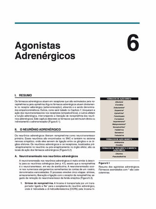, •
rener ICOS
1. RESUMO
Os fármacos adrenérgicos atuam em receptores que são estimulados pela no­
repinefrina ou pela epinefrina.Algunsfármacos adrenérgicos atuam diretamen­
te no receptor adrenérgico (adrenorreceptor), ativando-o e sendo denomina­
dos simpaticomiméticos. Outros, como será tratado no Capítulo 7, bloqueiam a
ação dos neurotransmissores nos receptores (simpaticolíticos), e outros afetam
a função adrenérgica, interrompendo a liberação de norepinefrina dos neurô­
nios adrenérgicos. Este capítulodescreve osfármacos que estimulam direta ou
indiretamente o adrenorreceptor (Figura 6.1).
li. O NEURÔNIO ADRENÉRGICO
Os neurônios adrenérgicos liberam norepinefrina como neurotransmissor
primário. Esses neurônios são encontrados no SNC e também no sistema
nervoso simpático, onde eles servem de ligação entre os gânglios e os ór­
gãos efetores. Os neurônios adrenérgicos e os receptores, localizados pré­
-sinapticamente no neurônio ou pós-sinapticamente no órgão efetor, são os
locais de ação dos fármacos adrenérgicos (Figura 6.2).
A. Neurotransmissão nos neurônios adrenérgicos
A neurotransmissão nos neurônios adrenérgicos é muito similar à descri­
ta para os neurônios colinérgicos (ver p. 47), exceto que a norepinefrina
é o neurotransmissor, em vez de acetilcolina. A neurotransmissão ocor­
re nos numerosos alargamentos semelhantes às contas de um rosário,
denominados varicosidades. O processo envolve cinco etapas: síntese,
armazenamento, liberação e ligação com o receptorda norepinefrina, se­
guido da remoção do neurotransmissor da fenda sináptica (Figura 6.3).
1 . Síntese de norepinefrina. A tirosina é transportada por um trans­
portador ligado a Na+ para o axoplasma do neurônio adrenérgico,
onde é hidroxilada a di-hidroxifenilalanina (DOPA) pela tirosina hi-
FÁRMACOS DEAÇÃODIRETA
Albuterol
Clonidi
na
Dobutamina"
Dopamina"
Epinefrina"
Feno/dopam
Formoterol
/soproterenol"
Metaproterenol"
Norepinefrina"
Fenilefrina
Salmeterol
Terbutalina
FÁRMACOSDE AÇÃO INDIRETA
Anfetamina
Cocaí
na
FÁRMACOS DE AC(ÃO DIRETA E INDIRETA
(AÇAOMISTA)
Figura 6.1
Efedri
na
Pseudoefedrina
Resumo dos agonistas adrenérgicos.
Fármacos assinalados com * são cate­
colaminas.
 