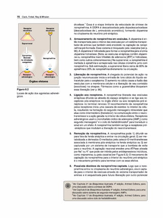 70 Clark, Finkel, Rey &Whalen
Receptor
nicotínico
Suprarrenal
Epinefrina
liberada
na circulação
sanguínea
o
•
Receptor
adrenérgico
,
Receptor
nicotínico
Norepinefrina
Receptor
adrenérgico
Orgãos efetores
Figura 6.2
Locais de ação dos agonistas adrenér-
•
glCOS.
droxilase.
1
Essa é a etapa limitante da velocidade de síntese de
norepinefrina. A DOPA é descarboxilada pela dopadescarboxilase
(descarboxilase de L aminoácido aromático), formando dopamina
no citoplasma do neurônio pré-sináptico.
2. Armazenamento de norepinefrina em vesículas. A dopamina é en­
tãotransportada parao interiordasvesículas porum sistematranspor­
tador de aminas que também está envolvido na captação da norepi­
nefrina pré-formada. Esse sistema é bloqueado pela reserpi
na (ver p.
96).A dopamina é hidroxilada paraformara norepinefri
na pela enzima
dopamina hidroxilase. (Nota: as vesículas sinápticas contêm dopami­
na ou norepinefri
na mais trifosfato de adenosina [A
TP] e hidroxilase,
bem como outros cotransmissores.) Na suprarrenal, a norepinefri
na é
metilada à epinefrina e armazenada nas células cromafins junto com
norepinefrina. Sob estimulação, a suprarrenal libera cerca de 80°
/o de
epinefrina e 20°
/
o de norepinefrina diretamente na circulação.
3. Liberação de norepinefrina. A chegada do potencial de ação na
junção neuromuscular inicia a entrada de íons cálcio do líquido ex­
tracelular para o axoplasma. O aumento no cálcio causa afusão das
vesículas com a membrana celular e a liberação de seu conteúdo
(exocitose) na sinapse. Fármacos como a guanetidi
na bloqueiam
essa liberação (ver p. 96).
4. Ligação aos receptores. A norepinefrina liberada das vesículas
sinápticas difunde-se através do espaço sináptico e se liga aos re­
ceptores pós-sinápticos no órgão efetor ou aos receptores pré-si­
nápticos no terminal nervoso. O reconhecimento da norepinefrina
pelos receptores inicia uma cascata de eventos no interior da célu­
la, resultando na formação do segundo mensageiro intracelular que
atua como intermediário (transdutor) na comunicação entre o neuro­
transmissore aação gerada no interiorda célula efetora. Receptores
adrenérgicos usam o monofosfato cíclico de adenosina (AMP0) como
segundo mensageiro
2
e o ciclo do fosfatidilinositol
3
para transduzir o
sinal em um efeito. A norepinefrina também se liga a receptores pré­
-sinápticos que modulam a liberação do neurotransmissor.
5. Remoção da norepinefrina. A norepinefri
na pode 1) difundir-se
para fora da fenda sináptica e entrar na circulação geral; 2) ser me­
tabolizada a derivados 0-metilados pela catecol-0-metiltransferase
associada à membrana pós-sináptica na fenda sináptica ou 3) ser
capturada por um sistema de transporte que a bombeia de volta
para o neurônio. A captação neuronal envolve uma ATPase ativada
por Na+ ou K+ que pode ser inibida pelos antidepressivos tricíclicos,
como imipramina, ou pela cocaína (ver Figura 6.3). O mecanismo de
captação da norepinefrina para o interior do neurônio pré-sináptico
é o mecanismo primário paraterminar com os seus efeitos.
6. Possíveis destinos da norepinefrina captada. Logo que a nore­
pinefrina entra no citoplasma do neurônio adrenérgico, ela é capta­
da para o interior da vesícula através do sistema transportador de
aminas e é sequestrada para futura liberação por outro potencial
1
Ver Capítulo 21 de Bioquímica /lustrada, 4ª edição, Artmed Editora, para
uma discussão sobre a síntese de DOPA.
2
Ver Capítulo 8 de Bioquímica /lustrada, 4ª edição, Artmed Editora, para uma
discussão sobre sistema de segundo mensageiro AMPc.
3Ver Capítulo 17 de Bioquímica /lustrada, 4ª edição, Artmed Editora, para
uma discussão sobre ciclo do fosfatidilinositol.
 