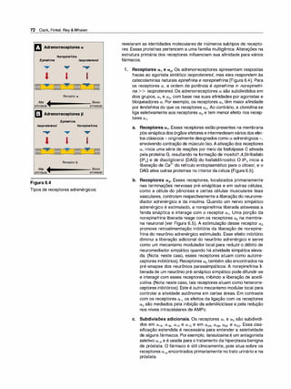 72 Clark, Finkel, Rey &Whalen
rJ Adrenorreceptores a
Norepinefrina
Epinefrina lsoproterenol
• • •
' ' l
IDlID �
= �
=�
=
Receptoro:
Alta � Baixa
afinidade
afinidade
l]J Adrenorreceptores J
Epinefrina
lsoproterenol Norepinefrina
• • •
' ' l
IDfill=+ n
1
1--+ {
filfilj� =
Receptor�
Alta +- Baixa
afinidade
afinidade
Figura 6.4
Tipos de receptores adrenérgicos.
revelaram as identidades moleculares de inúmeros subtipos de recepto­
res. Essas proteínas pertencem a uma família multigênica. Alterações na
estrutura primária dos receptores influenciam sua afinidade para vários
fármacos.
1 . Receptores a1 e a2• Os adrenorreceptores apresentam respostas
fracas ao agonista sintético isoproterenol, mas eles respondem às
catecolaminas naturais epinefri
na e norepinefrina (Figura 6.4). Para
os receptores a, a ordem de potência é epinefrina > norepinefri­
na >> isoproterenol. Os adrenorreceptores a são subdivididos em
dois grupos, a1 e a2, com base nas suas afinidades por agonistas e
bloqueadores a. Por exemplo, os receptores a1 têm maior afinidade
por fenilefri
na do que os receptores a2• Ao contrário, a clonidina se
liga seletivamente aos receptores a2 e tem menor efeito nos recep­
tores a1•
a. Receptores a1• Esses receptores estão presentes na membrana
pós-sinápticadosórgãos efetores e intermedeiam vários dos efei­
tos clássicos-originalmente designados como a-adrenérgicos-,
envolvendo contração de músculo liso.A ativação dos receptores
a1 inicia uma série de reações por meio da fosfolipase C ativada
pela proteína G, resultando na formação de inositol1 ,4,5trifosfato
(IP3) e de diacilglicerol (DAG) do fosfatidilinositol. O IP3 inicia a
liberação de Ca
2
+ do retículo endoplasmático para o citosol, e o
DAG ativa outras proteínas no interiorda célula (Figura 6.5).
b. Receptores a2• Esses receptores, localizados primariamente
nas terminações nervosas pré-sinápticas e em outras células,
como a célula do pâncreas e certas células musculares lisas
vasculares, controlam respectivamente a liberação do neurome­
diador adrenérgico e da insulina. Quando um nervo simpático
adrenérgico é estimulado, a norepinefrina liberada atravessa a
fenda sináptica e interage com o receptor a1• Uma porção da
norepinefrina liberada reage com os receptores a2 na membra­
na neuronal (ver Figura 6.5). A estimulação desse receptor a2
promove retroalimentação inibitória da liberação de norepine­
frina do neurônio adrenérgico estimulado. Esse efeito inibitório
diminui a liberação adicional do neurônio adrenérgico e serve
como um mecanismo modulador local para reduzir o débito de
neuromediador simpático quando há atividade simpática eleva­
da. (Nota: neste caso, esses receptores atuam como autorre­
ceptores inibitórios). Receptores a2 também são encontrados na
pré-sinapse dos neurônios parassimpáticos. A norepinefrina li­
berada de um neurônio pré-sináptico simpático pode difundir-se
e interagir com esses receptores, inibindo a liberação de acetil­
colina. (Nota: neste caso, tais receptores atuam como heterorre­
ceptores inibitórios). Este é outro mecanismo modular local para
controlar a atividade autônoma em certas áreas. Em contraste
com os receptores a1, os efeitos da ligação com os receptores
a2 são mediados pela inibição da adenililciclase e pela redução
nos níveis intracelulares de AMPc.
c. Subdivisões adicionais. Os receptores a1 e a2 são subdividi­
dos em a1A, a18, a1c e a10 e em a2A, a28, a2c e a20• Essa clas­
sificação estendida é necessária para entender a seletividade
de alguns fármacos. Porexemplo, tansu/osina é um antagonista
seletivo a1A e é usada para o tratamento da hiperplasia benigna
de próstata. O fármaco é útil clinicamente, pois atua sobre os
receptores a1Aencontrados primariamente notrato urinário e na
próstata.
 