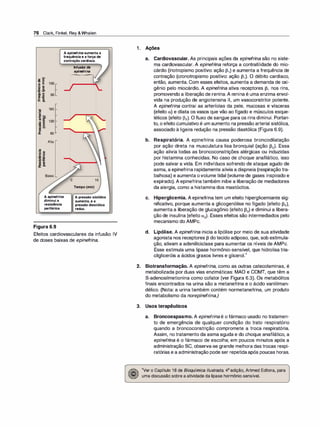 76 Clark, Finkel, Rey &Whalen
A epinefrinaaumenta a
frequênciae aforça de
contração cardíaca.
�
-8 .5
m E
·- ...
u o
,ij .s.
::::1 o
i.!!
... ::::1
u.. D.
iã
· -
100 [
so[
180
60
Alta
Baixa
A epinefrina
diminui a
resistência
periférica.
Figura 6.9
Infusão de
epinefrina
o 15
Tempo (min)
A pressão sistólica
aumenta, e a
pressão diastólica
reduz.
Efeitos cardiovasculares da infusão IV
de doses baixas de epinefrina.
1 . Ações
a. Cardiovascular. As principais ações da epinefri
na são no siste­
ma cardiovascular. A epinefri
na reforça a contratilidade do mio­
cárdio (inotropismo positivo: ação 131) e aumenta a frequência de
contração (cronotropismo positivo: ação 131). O débito cardíaco,
então, aumenta. Com esses efeitos, aumenta a demanda de oxi­
gênio pelo miocárdio. A epinefri
na ativa receptores 131 nos rins,
promovendo a liberação de renina. A renina é uma enzima envol­
vida na produção de angiotensina li, um vasoconstritor potente.
A epinefrina contrai as arteríolas da pele, mucosas e vísceras
(efeito a) e dilata os vasos que vão ao fígado e músculos esque­
léticos (efeito 132). O fluxo de sangue para os rins diminui. Portan­
to, o efeito cumulativo é um aumento na pressão arterial sistólica,
associado à ligeira redução na pressão diastólica (Figura 6.9).
b. Respiratória. A epinefrina causa poderosa broncodilatação
por ação direta na musculatura lisa bronquial (ação 132). Essa
ação alivia todas as broncoconstrições alérgicas ou induzidas
por histamina conhecidas. No caso de choque anafilático, isso
pode salvar a vida. Em indivíduos sofrendo de ataque agudo de
asma, a epinefrina rapidamente alivia a dispneia (respiração tra­
balhosa) e aumenta ovolume tidal (volume de gases inspirado e
expirado). A epinefrinatambém inibe a liberação de mediadores
da alergia, como a histamina dos mastócitos.
c. Hiperglicemia. A epinefrina tem um efeito hiperglicemiante sig­
nificativo, porque aumenta a glicogenólise no fígado (efeito 132),
aumenta a liberação de glucagônio (efeito 132) e diminui a libera­
ção de insulina (efeito a2). Esses efeitos são intermediados pelo
mecanismo do AMPc.
d. Lipólise. A epinefrina inicia a lipólise por meio de sua atividade
agonista nos receptores 13 dotecido adiposo, que, sob estimula­
ção, ativam a adenililciclase para aumentar os níveis de AMPc.
Esse estimula uma lipase hormônio-sensível, que hidrolisa tria­
cilgliceróis a ácidos graxos livres e glicerol.
4
2. Biotransformação. A epinefrina, como as outras catecolaminas, é
metabolizada por duas vias enzimáticas: MAO e COMT, que têm a
S-adenosilmetionina como cofator (ver Figura 6.3). Os metabólitos
finais encontrados na urina são a metanefrina e o ácido vanililman­
délico. (Nota: a urina também contém normetanefrina, um produto
do metabolismo da norepinefrina.)
3. Usos terapêuticos
a. Broncoespasmo. A epinefrina é o fármaco usado no tratamen­
to de emergência de qualquer condição do trato respiratório
quando a broncoconstrição compromete a troca respiratória.
Assim, no tratamento da asma aguda e do choque anafilático, a
epinefri
na é o fármaco de escolha; em poucos minutos após a
administração se, observa-se grande melhora das trocas respi­
ratórias e a administração pode ser repetidaapós poucas horas.
4
Ver o Capítulo 16 de Bioquímica /lustrada, 4ª edição, Artmed Editora, para
uma discussão sobre a atividade da lipase hormônio-sensível.
 