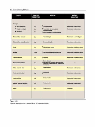 84 Clark, Finkel, Rey &Whalen
Coração
• NóAVeSinusal
• Viasdecondução
• Miofibrilas
Músculolisovascular
Músculolisodosbrônquios
Rins
Fígado
Tecidoadiposo
Músculoesquelético
Olho,músculociliar
Tratogastrintestinal
Vesículabiliar
Bexiga,músculodetrusor
útero
Figura 6.16
t Automaticidade
t Velocidadedeconduçãoe
automaticidade
t Contratilidadeeautomaticidade
Vasodilatação
Broncodilatação
t Liberaçãoderenina
t Glicogenóliseegliconeogênese
t Lipólise
Contratilidade
t Captaçãodepotássio;glicogenólise
Dilataasartériasquevãoaomúsculo
Tremores
Relaxamento
t Motilidade
Relaxamento
Relaxamento
Relaxamento
Resumo dos receptores (3-adrenérgicos. AV = atrioventricular.
Receptorescolinérgicos
Receptorescolinérgicos
Receptoresa-adrenérgicos
Receptorescolinérgicos
Receptoresa1-adrenérgicos
Receptoresa1-adrenérgicos
Receptoresa2-adrenérgicos
-
Receptorescolinérgicos
Receptorescolinérgicos
Receptorescolinérgicos
Receptorescolinérgicos
Ocitocina
 