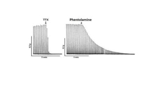 Farmacologia Introdução e Farmacodinâmica.pptx