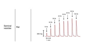 Farmacologia Introdução e Farmacodinâmica.pptx