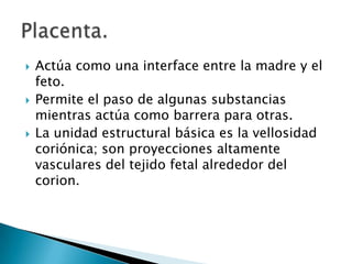Actúa como una interface entre la madre y el feto.Permite el paso de algunas substancias mientras actúa como barrera para otras.La unidad estructural básica es la vellosidad coriónica; son proyecciones altamente vasculares del tejido fetal alrededor del corion.Placenta.