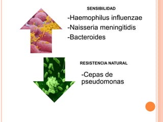 -Haemophilus influenzae
-Naisseria meningitidis
-Bacteroides
-Cepas de
pseudomonas
SENSIBILIDAD
RESISTENCIA NATURAL
 
