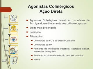Agonistas Colinérgicos
Ação Direta
 Agonistas Colinérgicos mimetizam os efeitos da
Ach ligando-se diretamente aos colinorreceptores.
 Efeito mais prolongado
 Betanecol
 Pilocarpina
 Diminuição da FC e do Débito Cardíaco
 Diminuição da PA
 Aumento da motilidade intestinal, secreção salivar,
secreções bronquiais
 Aumento do tônus do músculo detrusor da urina
 Miose
 