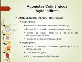 Agonistas Colinérgicos
Ação Indireta
 ANTICOLINESTERÁSICOS - Reverssíveis
 Fisostigmina
 Aumento da motilidade do intestino e da bexiga
 Diminuição da pressão intraglobular no glaucoma
Reverter os efeitos cardíacos e no SNC dos
antidepressivos tricíclicos
Reverter os efeitos da Atropina no SNC
 Neostigmina
Prevenir a distenção abdominal pós-cirúrgica e a
retenção urinária
Tratar miastenia grave
Agir como antagonista da tubocarina
 