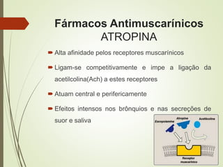Fármacos Antimuscarínicos
ATROPINA
 Alta afinidade pelos receptores muscarínicos
 Ligam-se competitivamente e impe a ligação da
acetilcolina(Ach) a estes receptores
 Atuam central e perifericamente
 Efeitos intensos nos brônquios e nas secreções de
suor e saliva
 