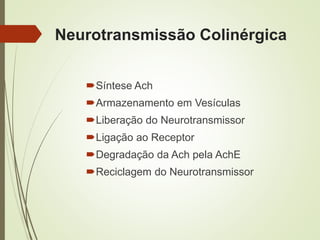 Síntese Ach
Armazenamento em Vesículas
Liberação do Neurotransmissor
Ligação ao Receptor
Degradação da Ach pela AchE
Reciclagem do Neurotransmissor
Neurotransmissão Colinérgica
 