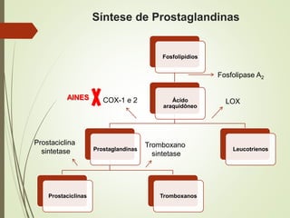 Síntese de Prostaglandinas
Fosfolipídios
Ácido
araquidôneo
Prostaglandinas
Prostaciclinas Tromboxanos
Leucotrienos
Fosfolipase A2
Prostaciclina
sintetase
Tromboxano
sintetase
LOXCOX-1 e 2AINES
 