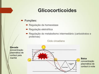 Glicocorticoides
 Funções:
 Regulação da homeostase
 Regulação eletrolítica
 Regulação do metabolismo intermediário (carboidratos e
proteínas)
Ciclo circadiano
Elevada
concentração
plasmática de
cortisol pela
manhã Baixa
concentração
plasmática de
cortisol à noite
 