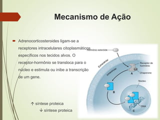  Adrenocorticosteroides ligam-se a
receptores intracelulares citoplasmáticos
específicos nos tecidos alvos. O
receptor-hormônio se transloca para o
núcleo e estimula ou inibe a transcrição
de um gene.
 síntese proteica
 síntese proteica
Mecanismo de Ação
 