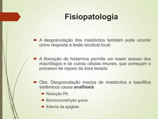 Fisiopatologia
 A desgranulação dos mastócitos também pode ocorrer
como resposta à lesão tecidual local.
 A liberação de histamina permite um maior acesso dos
macrófagos e de outras células imunes, que começam o
processo de reparo da área lesada
 Obs: Desgranulação maciça de mastócitos e basófilos
sistêmicos causa anafilaxia
 Redução PA
 Broncoconstrição grave
 Edema da epiglote
 