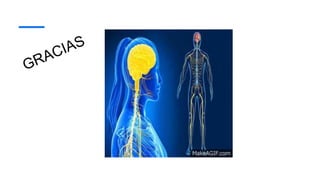 FARMACOLOGIA SNC........................