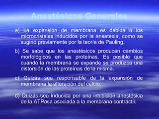 Anestésicos Generales
a) La expansión de membrana es debida a los
microcristales inducidos por la anestesia, como se
sugirió previamente por la teoría de Pauling.
b) Se sabe que los anestésicos producen cambios
morfológicos en las proteínas. Es posible que
cuando la membrana se expande se produzca una
distorsión de las proteínas de la misma.
c) Quizás sea responsable de la expansión de
membrana la alteración del calcio.
d) Quizás sea inducida por una inhibición anestésica
de la ATPasa asociada a la membrana contráctil.
 