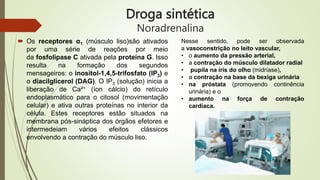 Droga sintética
Noradrenalina
 Os receptores α1 (músculo liso)são ativados
por uma série de reações por meio
da fosfolipase C ativada pela proteína G. Isso
resulta na formação dos segundos
mensageiros: o inositol-1,4,5-trifosfato (IP3) e
o diacilglicerol (DAG). O IP3 (solução) inicia a
liberação de Ca²+ (íon cálcio) do retículo
endoplasmático para o citosol (movimentação
celular) e ativa outras proteínas no interior da
célula. Estes receptores estão situados na
membrana pós-sináptica dos órgãos efetores e
intermedeiam vários efeitos clássicos
envolvendo a contração do músculo liso.
Nesse sentido, pode ser observada
a vasoconstrição no leito vascular,
• o aumento da pressão arterial,
• a contração do músculo dilatador radial
• pupila na íris do olho (midríase),
• a contração na base da bexiga urinária
• na próstata (promovendo continência
urinária) e o
• aumento na força de contração
cardíaca.
 