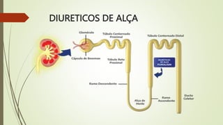 DIURETICOS DE ALÇA
 
