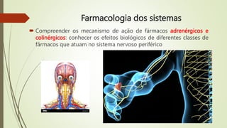 Farmacologia dos sistemas
 Compreender os mecanismo de ação de fármacos adrenérgicos e
colinérgicos: conhecer os efeitos biológicos de diferentes classes de
fármacos que atuam no sistema nervoso periférico
 