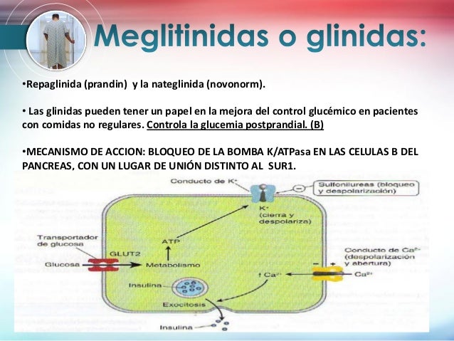 farmacología de la diabetes mellitus farmacología de la diabetes mellitus