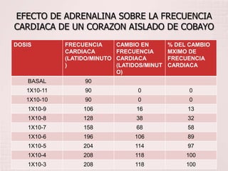 EFECTO DE ADRENALINA SOBRE LA FRECUENCIA
CARDIACA DE UN CORAZON AISLADO DE COBAYO
DOSIS        FRECUENCIA       CAMBIO EN        % DEL CAMBIO
             CARDIACA         FRECUENCIA       MXIMO DE
             (LATIDO/MINUTO   CARDIACA         FRECUENCIA
             )                (LATIDOS/MINUT   CARDIACA
                              O)
    BASAL          90
   1X10-11         90               0                0
   1X10-10         90               0                0
    1X10-9        106               16              13
    1X10-8        128               38              32
    1X10-7        158               68              58
    1X10-6        196              106              89
    1X10-5        204              114              97
    1X10-4        208              118              100
    1X10-3        208              118              100
 