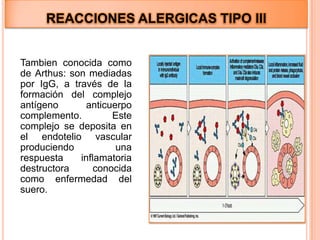 REACCIONES DE TIPO I Tambien llamadas  anafilácticas, mediadas por anticuerpos IgE que liberan diversos mediadores como histamina prostaglandinas y leucotrienes, que producen vaso dilatación, edema y respuesta inflamatoria. Puede ocurrir a nivel gas trointestinal, piel (urticaria, dermatitis) sistema respiratorio (rinitis, asma) y vasos sanguíneos (shock anafiláctico). 
