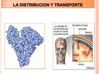 Presencia de enfermedades FARMACOS EN NINOS Y RECIEN NACIDOS 