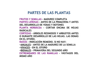 PARTES DE LAS PLANTAS FRUTOS Y SEMILLAS  – MADUREZ COMPLETA PARTES   LEÑOSAS  - ANTES DE LA PRIMAVERA Y ANTES DEL DESARROLLO DE YEMAS Y BOTONES PLANTA   HERBÁCEA  – CORTAR ENCIMA DE HOJAS RADICALES CORTEZAS  – ÁRBOLES RESINOSOS Y ARBUSTOS ANTES O DURANTE DESARROLLO DE LAS HOJAS. LAS DEMÁS EN EL OTOÑO. RAÍCES  – INDICACIÓN REMEDIO. SI NO HAY: ANUALES  – ANTES DE LA MADUREZ DE LA SEMILLA VIVACES  – EN EL OTOÑO BIENALES  – PRIMAVERA DEL SEGUNDO AÑO EXTREMIDADES DE LAS RAMILLAS  – VÁSTAGOS DEL MISMO AÑO 