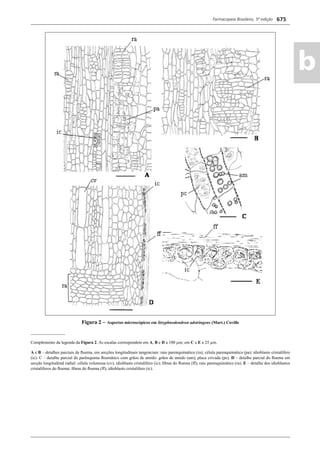 Farmacopeia Brasileira, 5ª edição
ab
675
Figura 2 – Aspectos microscópicos em Stryphnodendron adstringens (Mart.) Coville
________________
Complemento da legenda da Figura 2. As escalas correspondem em A, B e D a 100 μm; em C e E a 25 μm.
A e B – detalhes parciais de ﬂoema, em secções longitudinais tangenciais: raio parenquimático (ra); célula parenquimática (pa); idioblasto cristalífero
(ic). C – detalhe parcial do parênquima ﬂoemático com grãos de amido: grãos de amido (am); placa crivada (pc). D – detalhe parcial do ﬂoema em
secção longitudinal radial: célula volumosa (cv); idioblasto cristalífero (ic); ﬁbras do ﬂoema (ff); raio parenquimático (ra). E – detalhe dos idioblastos
cristalíferos do ﬂoema: ﬁbras do ﬂoema (ff); idioblasto cristalífero (ic).
Volume 2_18_07_11.indd 675Volume 2_18_07_11.indd 675 18/07/2011 09:26:3618/07/2011 09:26:36
 