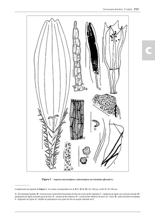 Farmacopeia Brasileira, 5ª edição
ac
717
Figura 1 – Aspectos macroscópicos e microscópicos em Calendula ofﬁcinalis L.
______________
Complemento da legenda da Figura 1. As escalas correspondem em A, B, C, D, G, H e J a 100 μm; em E, F e I a 500 μm.
A – ﬂor pistilada ligulada. B – tricoma tector multicelular bisseriado do tubo da corola da ﬂor ligulada. C – epiderme da lígula com cutícula estriada. D –
parênquima da lígula contendo gotas de óleo. E – anteras da ﬂor tubulosa. F – corola da ﬂor tubulosa do disco. G – fruto. H – grãos de pólen tricolpados.
I – fragmento de lígula. J – detalhe do parênquima com gotas de óleo na porção indicada em I.
Volume 2_18_07_11.indd 717Volume 2_18_07_11.indd 717 18/07/2011 09:26:4218/07/2011 09:26:42
 