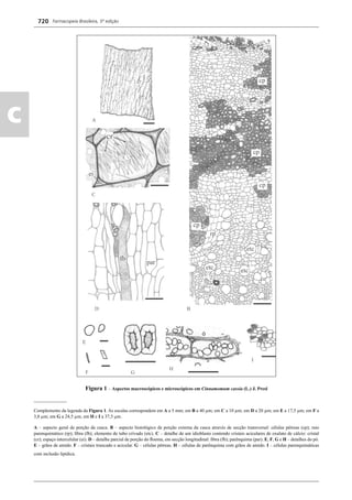 Farmacopeia Brasileira, 5ª edição
c
720
Figura 1 – Aspectos macroscópicos e microscópicos em Cinnamomum cassia (L.) J. Presl
______________
Complemento da legenda da Figura 1. As escalas correspondem em A a 5 mm; em B a 40 μm; em C a 10 μm; em D a 20 μm; em E a 17,5 μm; em F a
3,8 μm; em G a 24,5 μm; em H e I a 37,5 μm.
A – aspecto geral de porção da casca. B – aspecto histológico de porção externa da casca através de secção transversal: células pétreas (cp); raio
parenquimático (rp); ﬁbra (fb); elemento de tubo crivado (etc). C – detalhe de um idioblasto contendo cristais aciculares de oxalato de cálcio: cristal
(cr); espaço intercelular (ei). D – detalhe parcial de porção do ﬂoema, em secção longitudinal: ﬁbra (fb); parênquima (par). E, F, G e H – detalhes do pó.
E – grãos de amido. F – cristais truncado e acicular. G – células pétreas. H – células de parênquima com grãos de amido. I – células parenquimáticas
com inclusão lipídica.
Volume 2_18_07_11.indd 720Volume 2_18_07_11.indd 720 18/07/2011 09:26:4318/07/2011 09:26:43
 