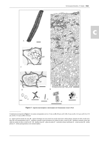 Farmacopeia Brasileira, 5ª edição
ac
723
Figura 1 - Aspectos macroscópicos e microscópico em Cinnamomum verum J. Presl
_________________
Complemento da legenda da Figura 1. As escalas correspondem em A a 15 mm; em B a 80 μm; em C e D a 10 μm; em E a 12,5 μm; em F e I a 37,5
μm; em G a 17,5 μm; em H a 125,0 μm.
A – aspecto geral de porção da casca; B – aspecto histológico da casca através de secção transversal: células pétreas; elemento de tubo crivado (etc);
ﬁbra (fb); raio parenquimático (rp); C – idioblasto contendo cristais prismáticos de oxalato de cálcio: cristal (cr); D – idioblasto contendo cristais tipo
ráﬁde de oxalato de cálcio: cristal (cr); E – H – detalhes do pó; E – grãos de amido; F – esclereíde colunar ramiﬁcado; G – cristal acicular; H – células
pétreas; I – células parenquimáticas com inclusão lipídica.
Volume 2_18_07_11.indd 723Volume 2_18_07_11.indd 723 18/07/2011 09:26:4418/07/2011 09:26:44
 