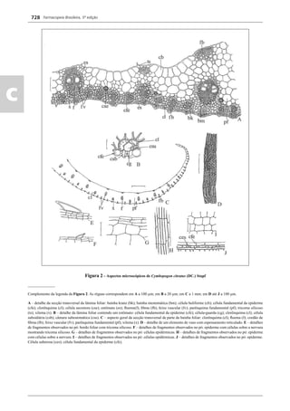 Farmacopeia Brasileira, 5ª edição
c
728
Figura 2 – Aspectos microscópicos de Cymbopogon citratus (DC.) Stapf
______________
Complemento da legenda da Figura 2. As réguas correspondem em A a 100 μm; em B a 20 μm; em C a 1 mm; em D até J a 100 μm.
A – detalhe da secção transversal da lâmina foliar: bainha kranz (bk); bainha mestomática (bm); célula buliforme (cb); célula fundamental da epiderme
(cfe); clorênquima (cl); célula secretora (cse); estômato (es); ﬂoema(f); ﬁbras (fb); feixe vascular (fv); parênquima fundamental (pf); tricoma silicoso
(ts); xilema (x). B – detalhe da lâmina foliar contendo um estômato: célula fundamental da epiderme (cfe); célula-guarda (cg); clorênquima (cl); célula
subsidiária (csb); câmara subestomática (csu). C – aspecto geral da secção transversal de parte da bainha foliar: clorênquima (cl); ﬂoema (f); cordão de
ﬁbras (fb); feixe vascular (fv); parênquima fundamental (pf); xilema (x). D – detalhe de um elemento de vaso com espessamento reticulado. E – detalhes
de fragmentos observados no pó: bordo foliar com tricoma silicoso. F – detalhes de fragmentos observados no pó: epiderme com células sobre a nervura
mostrando tricoma silicoso. G – detalhes de fragmentos observados no pó: células epidérmicas. H – detalhes de fragmentos observados no pó: epiderme
com células sobre a nervura. I – detalhes de fragmentos observados no pó: células epidérmicas. J – detalhes de fragmentos observados no pó: epiderme.
Célula suberosa (ces); célula fundamental da epiderme (cfe).
Volume 2_18_07_11.indd 728Volume 2_18_07_11.indd 728 18/07/2011 09:26:4518/07/2011 09:26:45
 