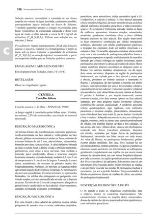 Farmacopeia Brasileira, 5ª edição
c
768
Solução amostra: reconstituir o conteúdo de um frasco
ampola em volume de água destilada, exatamente medido,
correspondente àquele indicado no frasco do diluente.
Transferir quantitativamente a solução reconstituída para
balão volumétrico de capacidade adequada e diluir com
água de modo a obter solução a cerca de 0,3 mg/mL de
cefoxitina (C16
H17
N3
O7
S2
). Utilizar essa solução em, no
máximo, 5 horas
Procedimento: injetar, separadamente, 20 μL das Soluções
padrão e amostra, registrar os cromatogramas e medir as
áreas sob os picos. Calcular a quantidade de cefoxitina
(C16
H17
N3
O7
S2
) na solução injetável reconstituída, a partir
das respostas obtidas para as Soluções padrão e amostra.
EMBALAGEM E ARMAZENAMENTO
Em recipientes bem fechados, entre 2 ºC e 8 ºC.
ROTULAGEM
Observar a legislação vigente..
CENTELA
Centellae folium
Centella asiatica (L.) Urban – APIACEAE; 09898
A droga vegetal é constituída pelas folhas secas. Contém,
no mínimo, 2,0% de asiaticosídeo, em relação ao material
dessecado.
DESCRIÇÃO MACROSCÓPICA
As lâminas foliares são membranáceas, raramente papirácias,
verde-acinzentadas na face adaxial e verde-pálidas na face
abaxial, glabras a tomentosas em ambas as faces, cobertas de
tricomas hialinos de até 2 mm, pluricelulares, unisseriados,
formados por duas a cinco células. A célula inferior é oriunda
de uma só célula basal. Lâmina ovada a orbicular-reniforme,
palminérvea, com cinco a nove nervuras, base cordada a
truncada, ápice arredondado, obtuso a truncado, margem
levemente sinuada a crenado-dentada, medindo 1,5 cm a 7 cm
de comprimento e 1 cm a 6 cm de largura.Avenação é pouco
densa, actinódroma. As nervuras de primeira ordem são,
longitudinalmente, retilíneas. As nervuras de segunda ordem
apresentam ângulo de divergência moderada.As ramiﬁcações
das nervuras secundárias e terciárias terminam no epitema dos
hidatódios. As aréolas são pentagonais ou poligonais, com
vênula simples, curvada ou ramiﬁcada só uma vez e disposta
ao acaso. Pecíolo de até 15 cm de comprimento, alargado na
porção basal e canaliculado na face adaxial, viloso-tomentoso,
castanho-esverdeado a castanho-avermelhado.
DESCRIÇÃO MICROSCÓPICA
Em vista frontal, a face adaxial da epiderme mostra células
poligonais de paredes retas a curvas, estômatos projetados,
paracíticos, raros anisocíticos, índice estomático igual a 18,
e hidatódios; a cutícula é estriada. A face abaxial apresenta
célulastambémpoligonais,demaiortamanhodoqueasdaface
adaxial, estômatos projetados, paracíticos e índice estomático
igual a 12; a cutícula é fortemente estriada. Ambas as faces
da epiderme apresentam tricomas simples, unisseriados,
retorcidos, geralmente tricelulares (duas a cinco células),
bastante escassos na face adaxial. Em secção transversal,
as faces mostram-se constituídas por células retangulares
achatadas, alternadas com células quadrangulares papilosas;
a projeção dos estômatos pode ser melhor observada e a
cutícula é ﬁna. O mesoﬁlo apresenta estrutura dorsoventral,
com uma a três camadas de parênquima paliçádico frouxo e
parênquima esponjoso ocupando mais da metade do mesoﬁlo,
formado por células oblongas no sentido horizontal; nestes
parênquimas encontram-se drusas de oxalato de cálcio. Raros
canais secretores (ductos) encontram-se dispostos junto ao
ﬂoema. Na nervura mediana, observam-se, via de regra,
dois canais secretores, dispostos na região do parênquima
fundamental, um voltado para a face adaxial e outro para
a abaxial, próximos ao sistema vascular e raramente no
ﬂoema; o colênquima, do tipo lacunar e presente em ambas
as faces, está representado por uma a três camadas celulares,
especialmente na face adaxial. O sistema vascular é colateral,
em arco aberto, com várias ﬁbras em zona externa ao ﬂoema.
O pecíolo é ﬁstuloso e, em secção transversal, mostra
contorno circular, com duas arestas opostas na face adaxial,
separadas por uma pequena região levemente côncava,
conferindo-lhe aspecto canaliculado. A epiderme apresenta
células quadrangulares, algo papilosas, com estômatos
paracíticos e tricomas simples, pluricelulares, unisseriados,
com célula basal bem mais curta do que as demais.Acutícula
é ﬁna e estriada. Subepidermicamente ocorre um colênquima
angular, contínuo, onde se alterna uma camada predominante
de células com estreitas regiões de duas a três camadas, ou
nas arestas até cinco. Abaixo deste, situa-se um clorênquima,
contendo sete feixes vasculares colaterais, dispostos
em círculo, separados por largas faixas de parênquima
fundamental, ocorrendo um feixe menor em cada aresta.
Ao redor do ﬂoema, no parênquima fundamental, podem
ocorrer células amilíferas. Em cada feixe vascular há um
envoltório de ﬁbras, restrito ao ﬂoema. No pecíolo, também se
observam canais secretores: um internamente ao colênquima,
geralmente e regularmente nas regiões em que ocorre maior
número de camadas deste, um com menor frequência disposto
por toda a estrutura, na região aproximadamente equidistante
dos feixes vasculares e da epiderme, dois opostos entre si, em
um mesmo feixe vascular, ambos muito próximos ao xilema,
e um por feixe vascular nas arestas. O parênquima medular é
inexistente, por ser o pecíolo ﬁstuloso. Nas proximidades da
fístula encontram-se drusas de oxalato de cálcio, nas células
do parênquima fundamental.
DESCRIÇÃO MICROSCÓPICA DO PÓ
O pó atende a todas as exigências estabelecidas para
a espécie, menos os caracteres macroscópicos. São
característicos: tricomas ou porções deles, unisseriados;
drusasdeoxalatodecálcioeporçõesdecélulasepidérmicas,
com estômatos paracíticos.
Volume 2_18_07_11.indd 768Volume 2_18_07_11.indd 768 18/07/2011 09:26:5018/07/2011 09:26:50
 