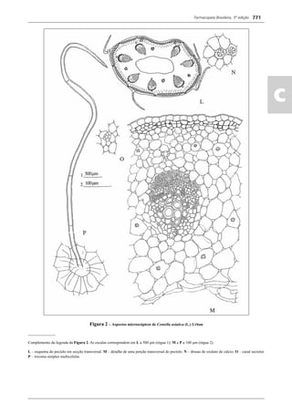 Farmacopeia Brasileira, 5ª edição
ac
771
Figura 2 – Aspectos microscópicos de Centella asiatica (L.) Urban
______________
Complemento da legenda da Figura 2. As escalas correspondem em L a 500 μm (régua 1); M a P a 100 μm (régua 2).
L – esquema do pecíolo em secção transversal. M – detalhe de uma porção transversal do pecíolo. N – drusas de oxalato de cálcio. O – canal secretor.
P – tricoma simples multicelular.
Volume 2_18_07_11.indd 771Volume 2_18_07_11.indd 771 18/07/2011 09:26:5118/07/2011 09:26:51
 