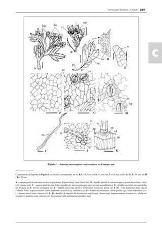 Farmacopeia 5 edição