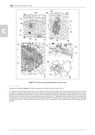Farmacopeia 5 edição