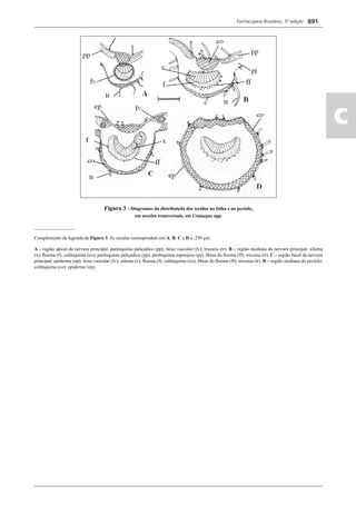 Farmacopeia 5 edição
