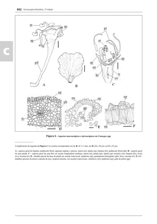 Farmacopeia 5 edição