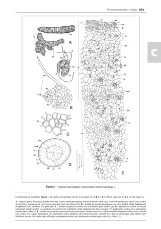 Farmacopeia 5 edição