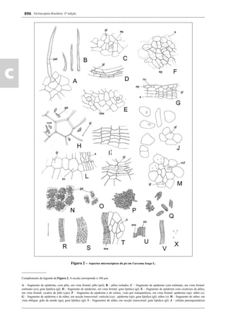 Farmacopeia 5 edição
